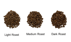 Image of coffee bean roast development levels. Starting from left to right are the Lightly roasted coffee beans suitable for plunger and filter coffee, in the middle are the medium roasted coffee beans suitable for French press and espresso and far right are the dark roasted coffee beans which are more suited to an espresso brewing or someone who loves the dark chocolaty notes and minimal acidity in their plunger coffee.