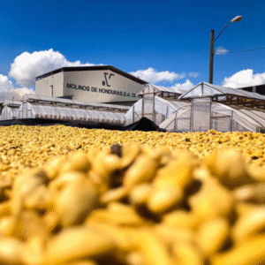 Molinos Honduras organic coffee production